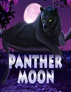 สิ่งที่ต้องรู้เกี่ยวกับสูตรฝาก 29 เพื่อชนะเกมสล็อตออนไลน์